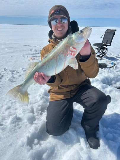 Walleye