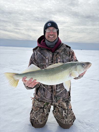 Walleye