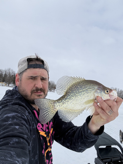 Black Crappie