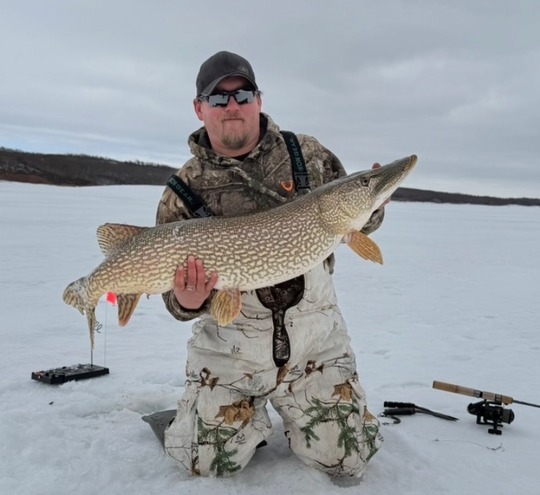 Northern Pike