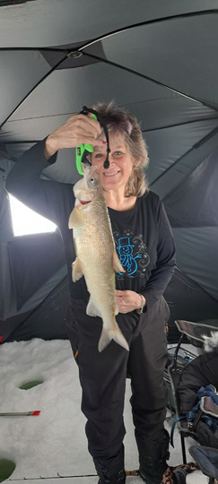 Lake Whitefish