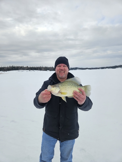 Black Crappie