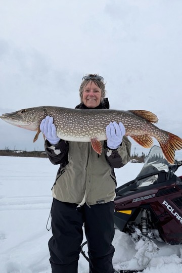 Northern Pike