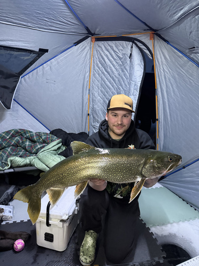 Lake Trout