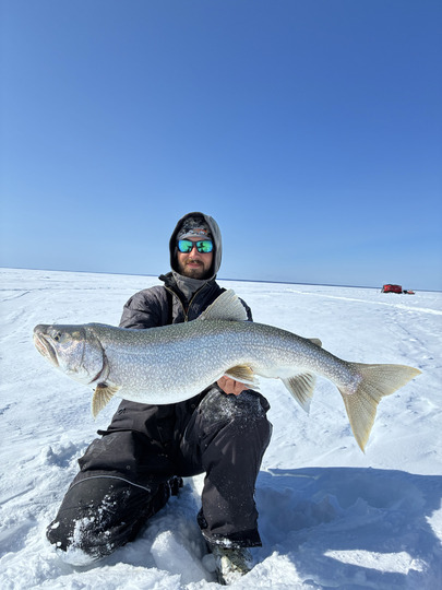 Lake Trout