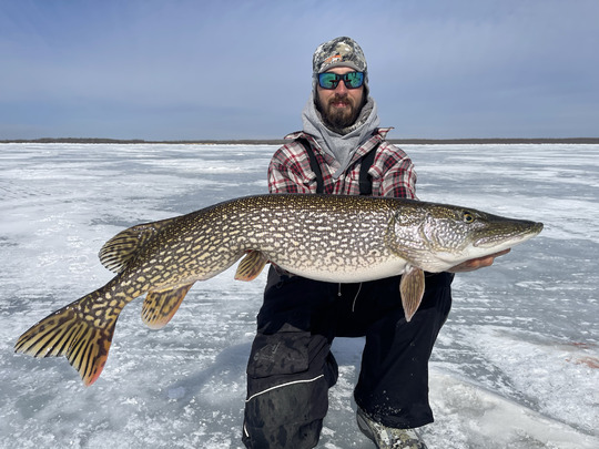 Northern Pike