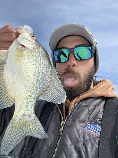 Black Crappie