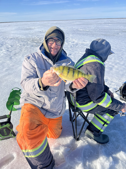 Yellow Perch