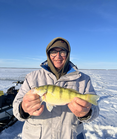Yellow Perch