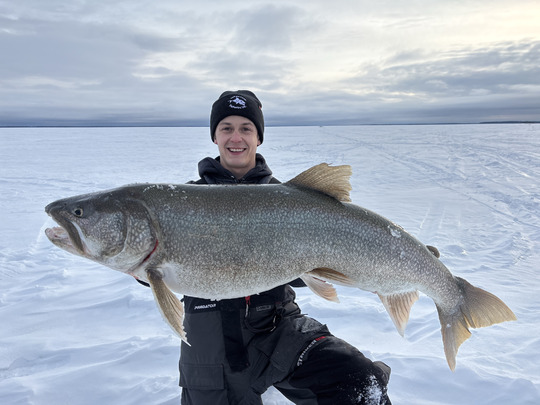 Lake Trout