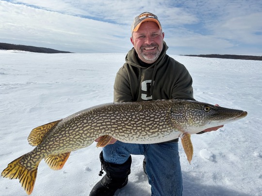 Northern Pike