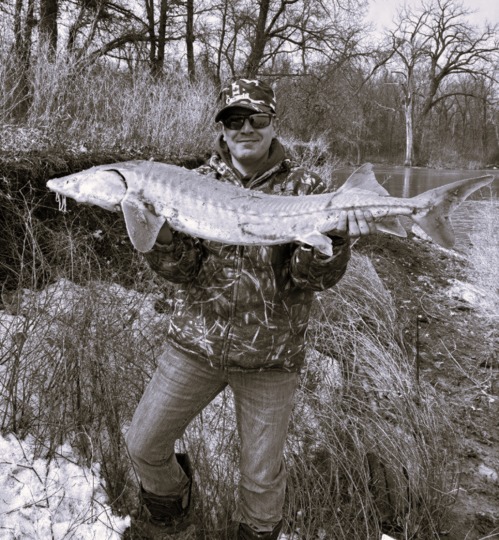 Lake Sturgeon