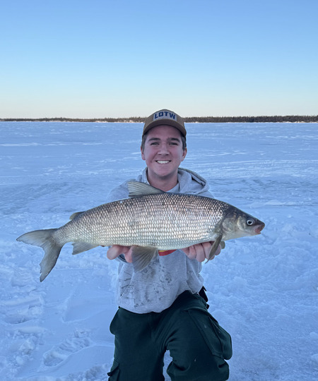Lake Whitefish