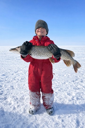 Northern Pike