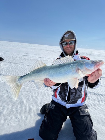 Walleye