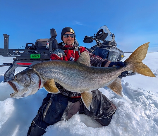 Lake Trout