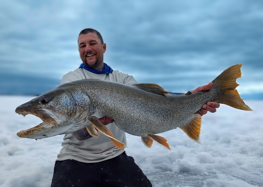 Lake Trout