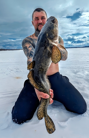 Burbot