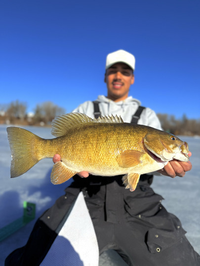 Smallmouth Bass