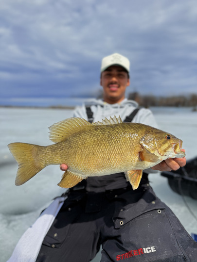 Smallmouth Bass