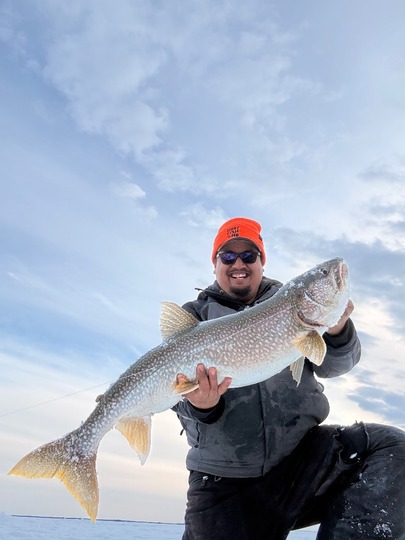 Lake Trout