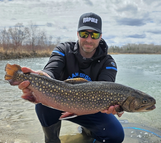Brook Trout