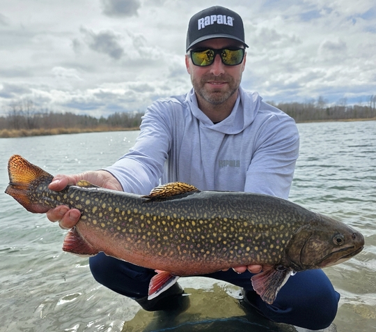 Brook Trout