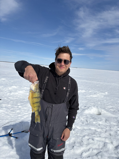 Yellow Perch