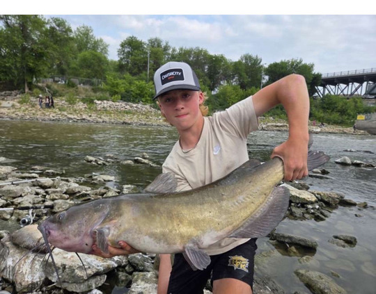 Channel Catfish