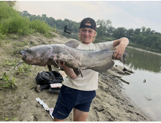 Channel Catfish