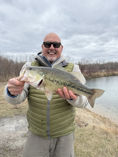 Largemouth Bass