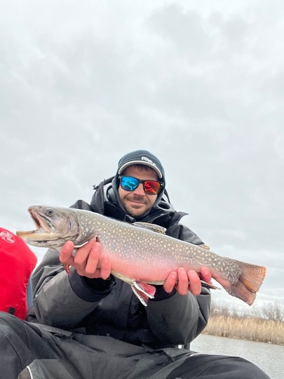 Brook Trout