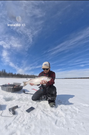 Rainbow Trout