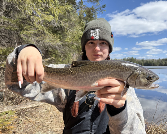 Tiger Trout