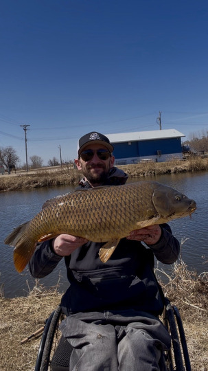Common Carp