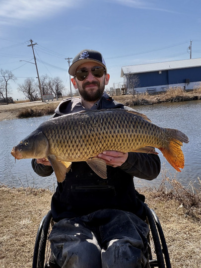 Common Carp