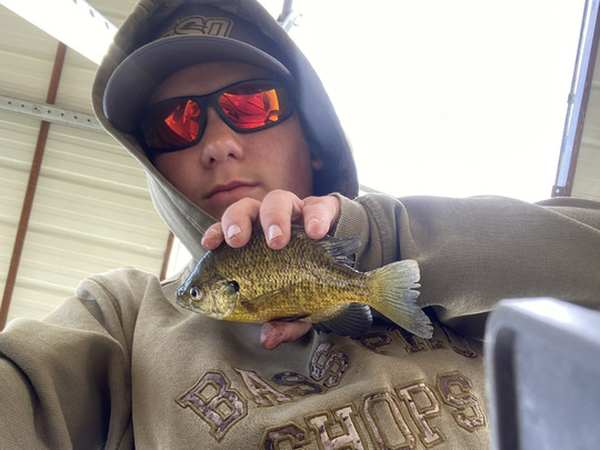 Sunfish