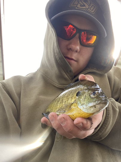 Sunfish