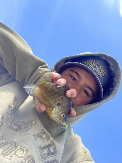 Sunfish