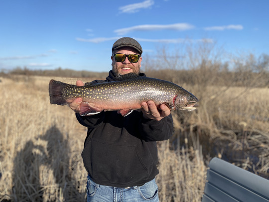 Brook Trout
