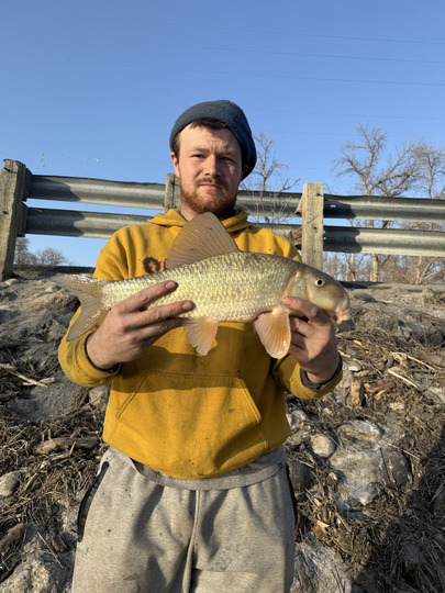 Sucker
