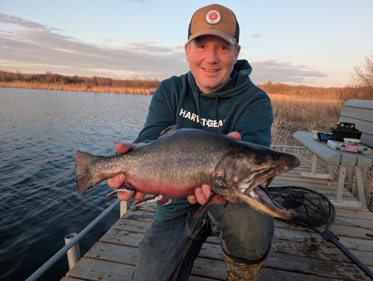 Brook Trout