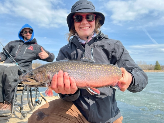 Brook Trout