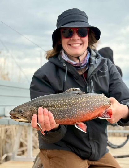 Brook Trout
