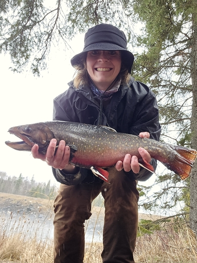 Brook Trout