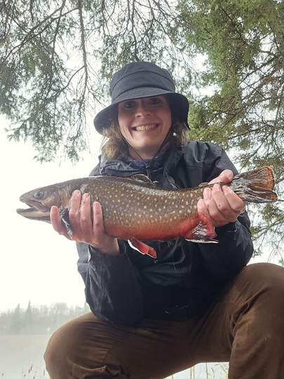 Brook Trout
