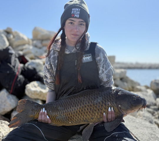 Common Carp