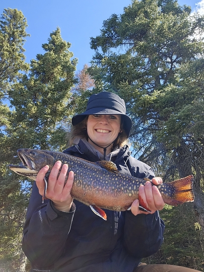 Brook Trout
