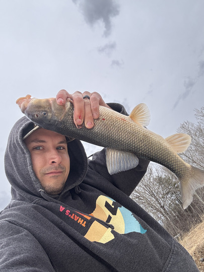 Sucker