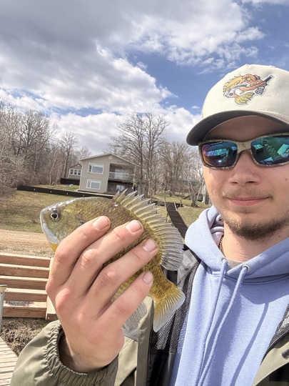 Sunfish
